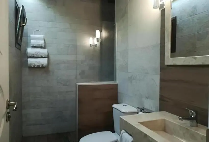 デラックスルーム, Manoleva House