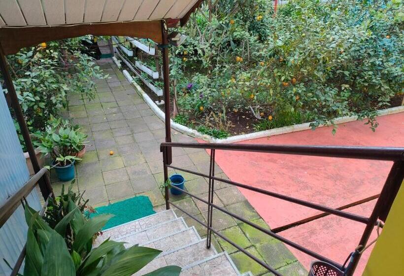 اتاق استاندارد با 2 تخت دوبل, Guest House Nadejda