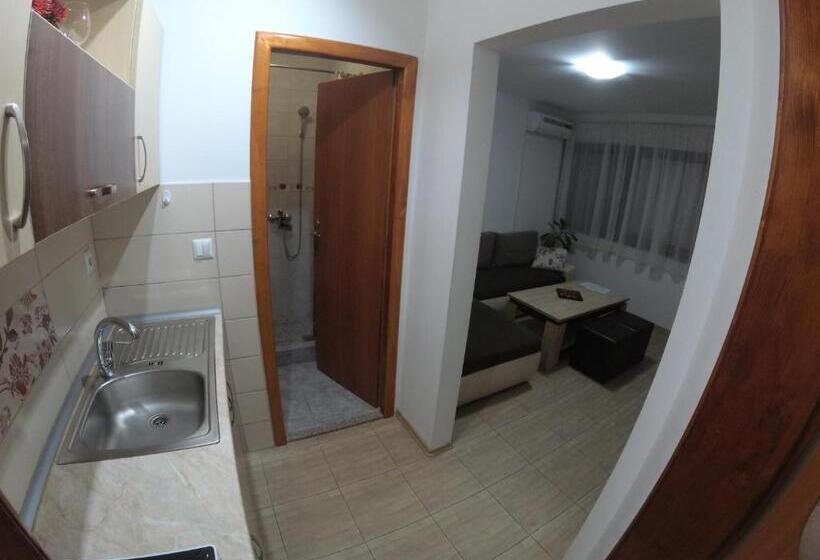 آپارتمان 1 خوابه با بالکن, Guesthouse Ušće