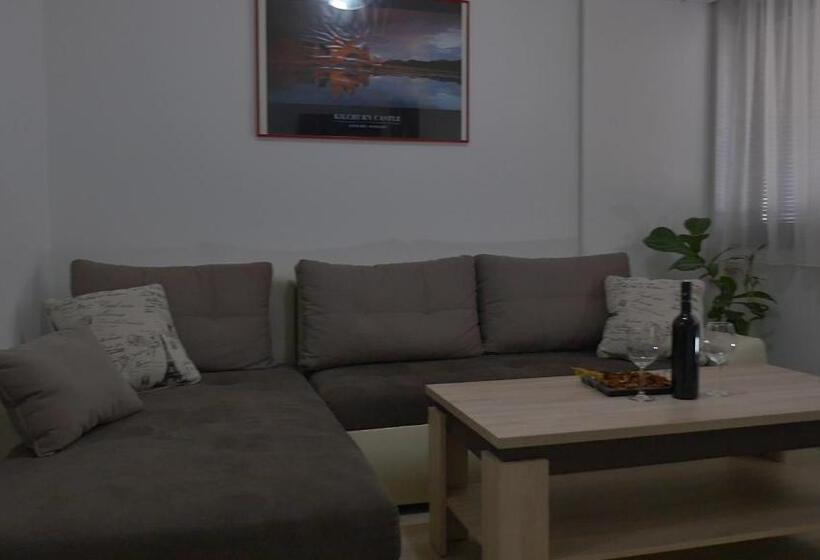 آپارتمان 1 خوابه با بالکن, Guesthouse Ušće