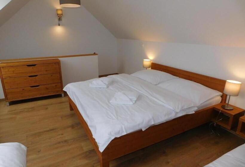 شقة ديلوكس غرفة نوم واحدة, Penzion Eden