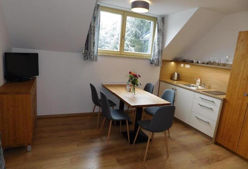 شقة ديلوكس غرفة نوم واحدة, Penzion Eden