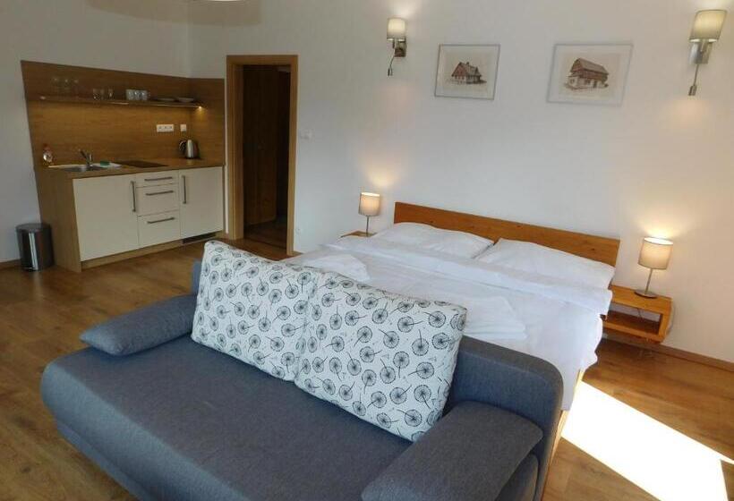 إستديو قياسى مزود بشرفة, Penzion Eden