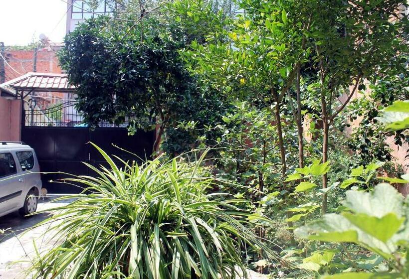 غرفة قياسية ثلاثية, Villa Center