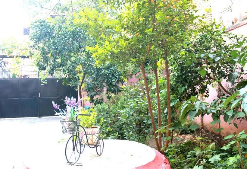 غرفة قياسية رباعية, Villa Center