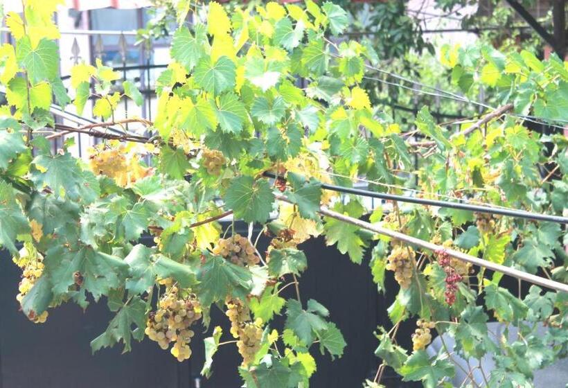 غرفة عائلية, Villa Center