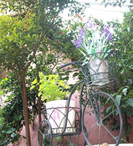 غرفة قياسية, Villa Center