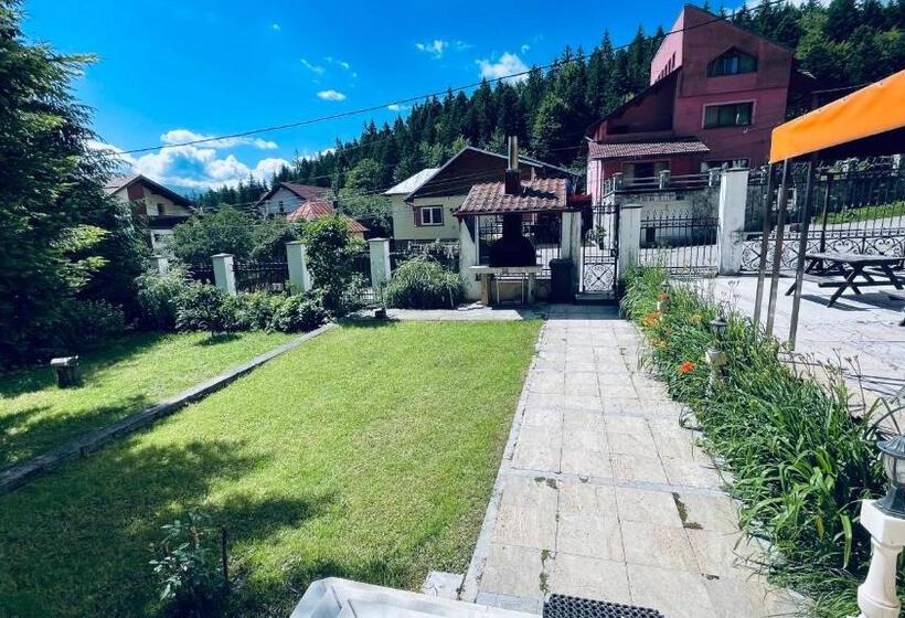 חדר סטנדרט, Pensiunea Luminita