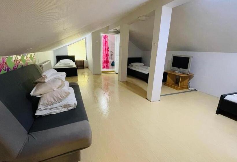 וילה בת חדר שינה 1, Pensiunea Luminita