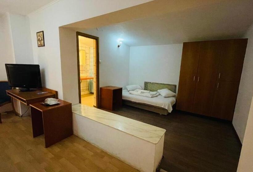 וילה בת חדר שינה 1, Pensiunea Luminita