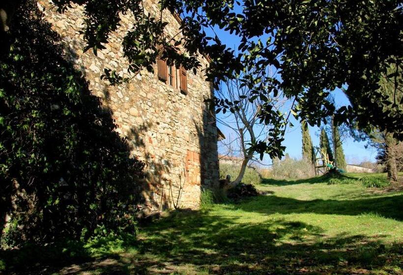 Апартаменты 1 Спальня с Террасой, Casina Di Cornia