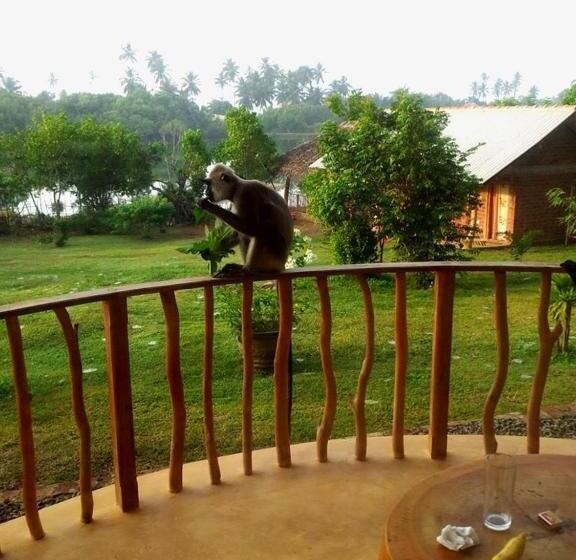 スタンダードトリプルルーム, Eagles Nest Cabanas