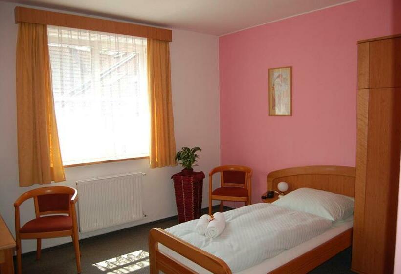 스탠다드 싱글 룸, Penzion U Zvonu