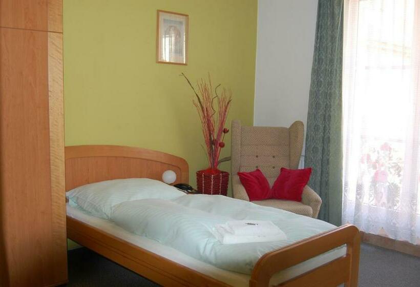 스탠다드 싱글 룸, Penzion U Zvonu