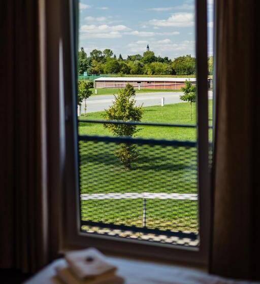 スタンダードルーム, Penzion V Jízdárně