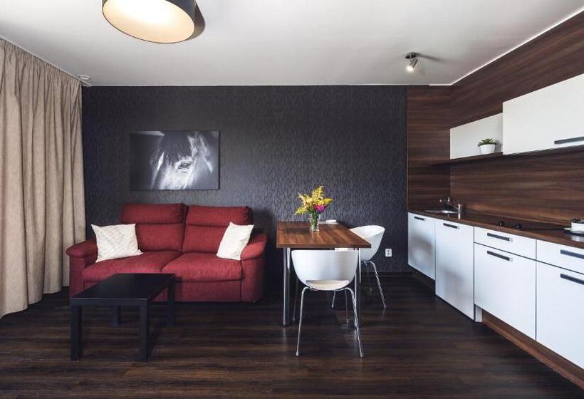 ２ベッドルームアパートメント, Penzion V Jízdárně