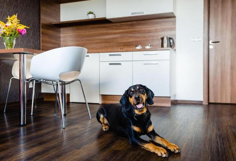 ２ベッドルームアパートメント, Penzion V Jízdárně