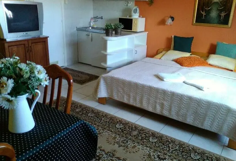استودیوی استاندارد, Zöld Sziget Vendégház