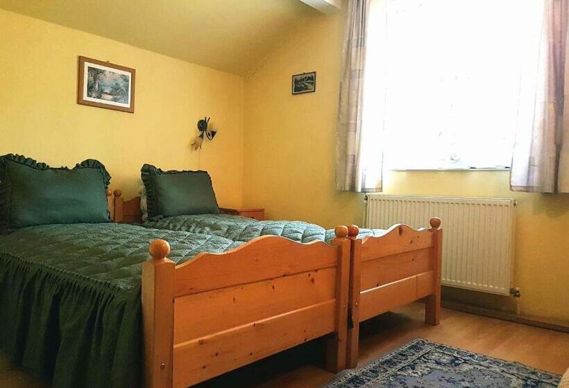 스탠다드 룸, Pensiunea Bradu