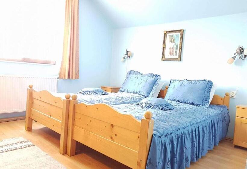 스탠다드 룸, Pensiunea Bradu