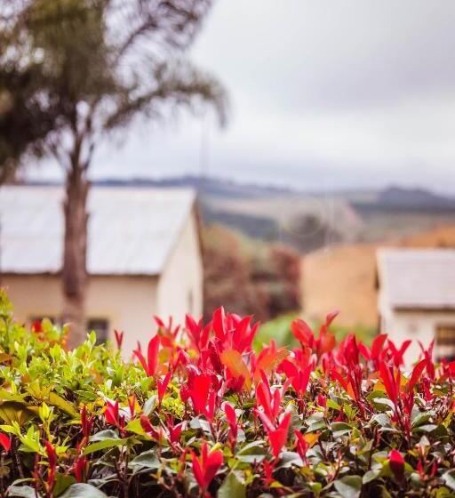 シャレー・スペリアー1寝室, House Of Art