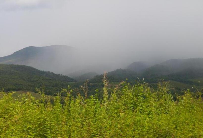 シャレー・スペリアー1寝室, House Of Art