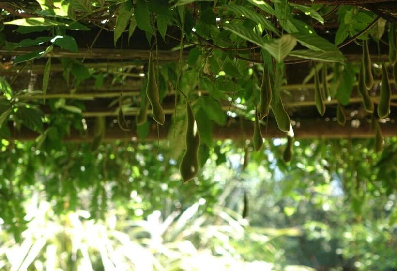 חדר סטנדרט, Notting Hill Lodge