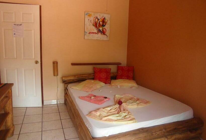 标准单人间, Samara Palm Lodge