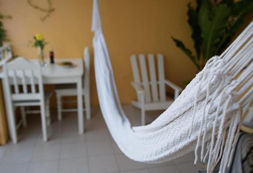 اتاق استاندارد با تخت بزرگ, Santana