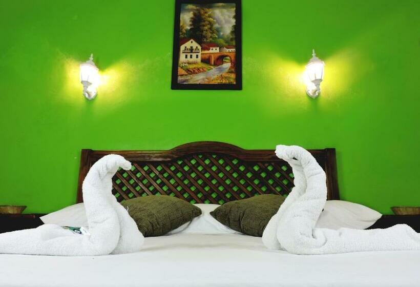 标准间, Valladolid