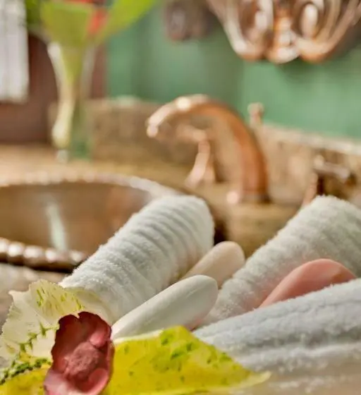 اتاق لوکس, Mahogany Hall Luxury Boutique Resort