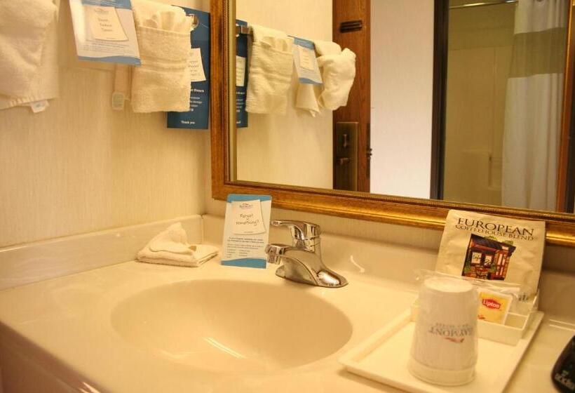 غرفة قياسية سرير كينج, Baymont By Wyndham Battle Creek Downtown