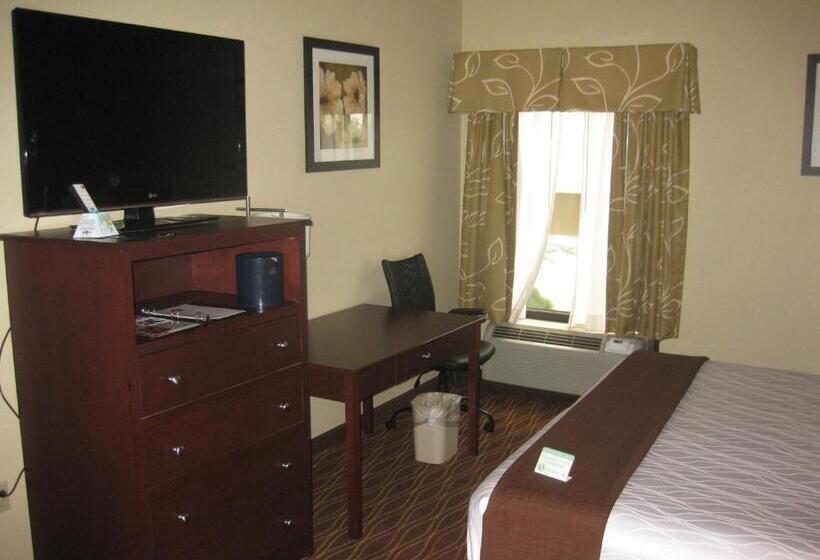 חדר סטנדרט עם מיטת קינג, Best Western Plus Springfield Airport Inn