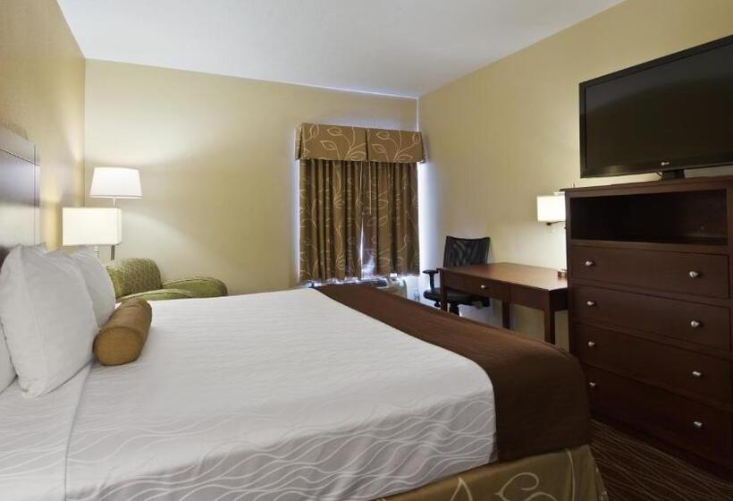 Стандартный Номер Кровать Кинг, Best Western Plus Springfield Airport Inn