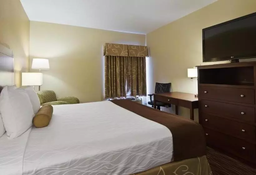 اتاق استاندارد با تخت بزرگ, Best Western Plus Springfield Airport Inn