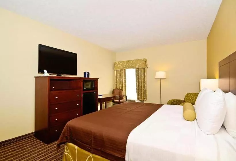 اتاق استاندارد با تخت بزرگ, Best Western Plus Springfield Airport Inn