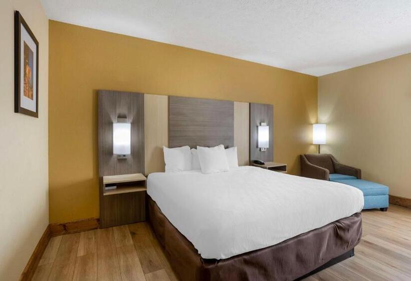 Стандартный Номер Кровать Кинг, Best Western Plus Springfield Airport Inn