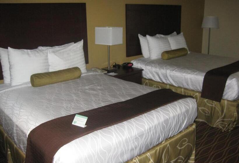 חדר סטנדרט, Best Western Plus Springfield Airport Inn