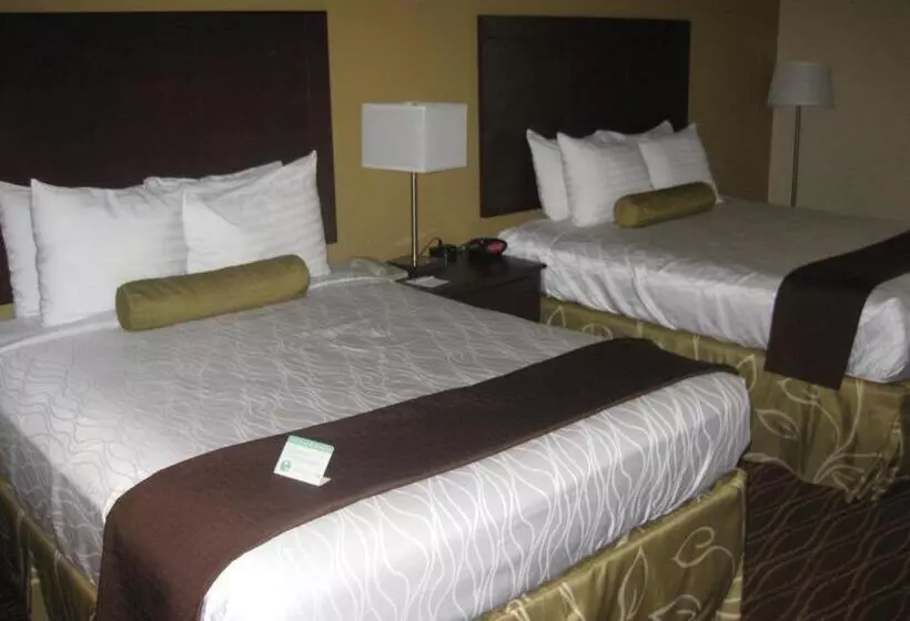 اتاق استاندارد, Best Western Plus Springfield Airport Inn