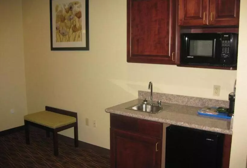 سوئیت با تخت بزرگ, Best Western Plus Springfield Airport Inn