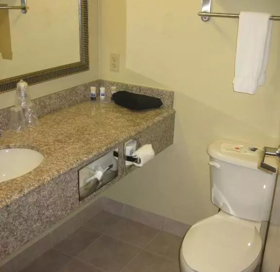 سوئیت با تخت بزرگ, Best Western Plus Springfield Airport Inn