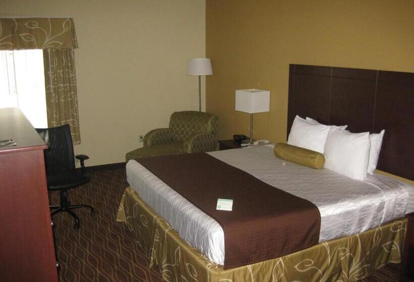 מיטת קינג בסוויטה, Best Western Plus Springfield Airport Inn