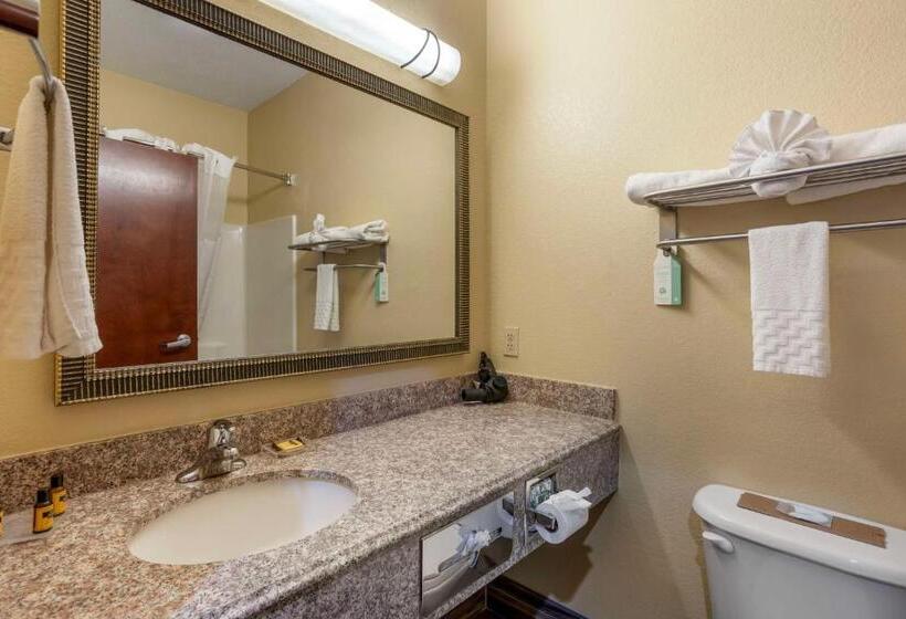 מיטת קינג בסוויטה, Best Western Plus Springfield Airport Inn