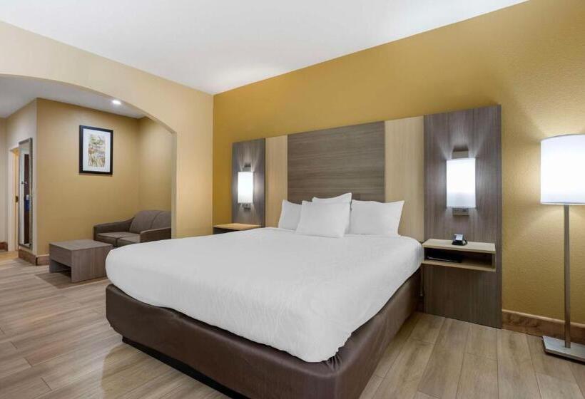 Люкс Кровать Кинг, Best Western Plus Springfield Airport Inn