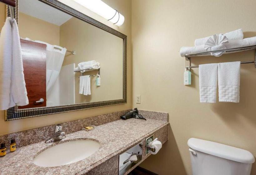 חדר סטנדרט, Best Western Plus Springfield Airport Inn