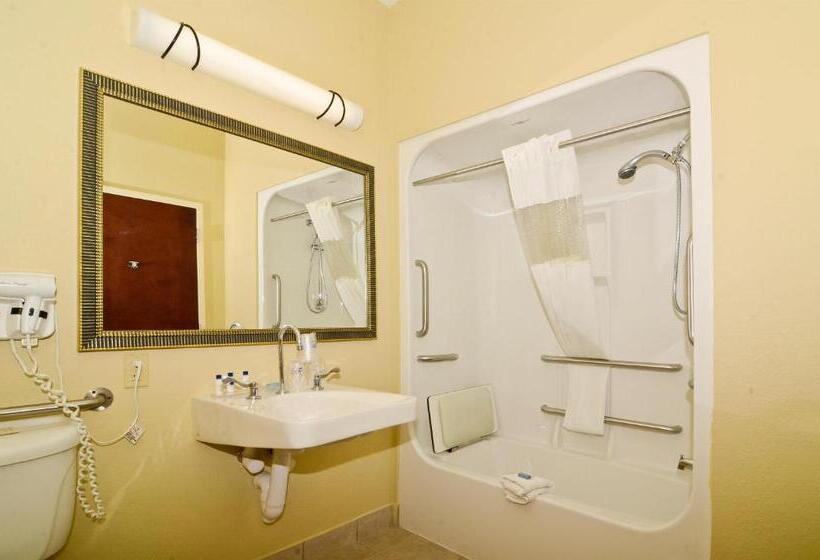 חדר סטנדרט עם מיטת קינג, Best Western Plus Springfield Airport Inn