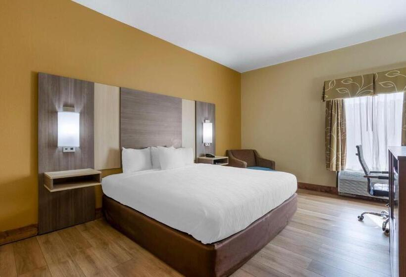 Стандартный Номер Кровать Кинг, Best Western Plus Springfield Airport Inn