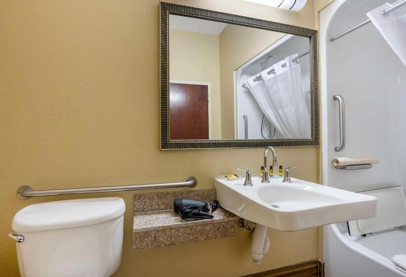 חדר סטנדרט עם מיטת קינג, Best Western Plus Springfield Airport Inn