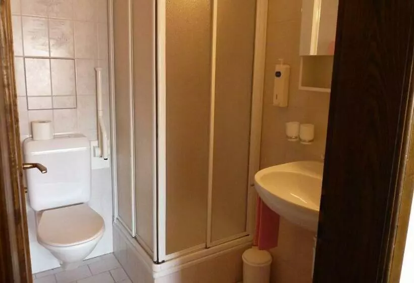 Habitación Estàndard Individual, Central