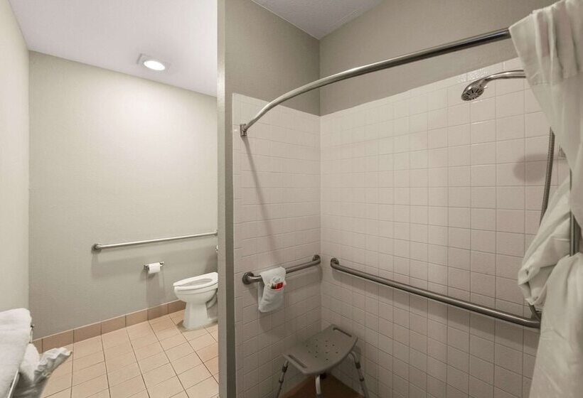 Люкс Адаптированный для Инвалидов, Econo Lodge Inn & Suites Mesquite   Dallas East